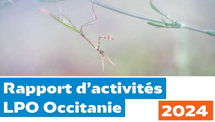 LPO Occitanie : 13 départements et désormais 13 entités départementales en région
